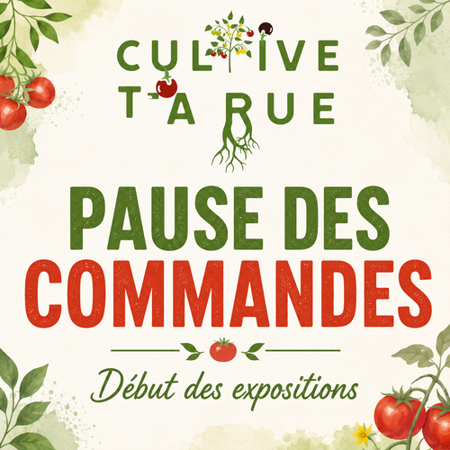 Pause des commandes sur le site jusque novembre 2026
