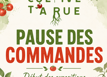 Pause des commandes sur le site jusque novembre 2026