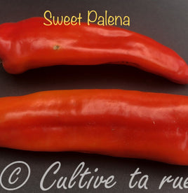 Sweet palena