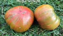 Rojo-Verde