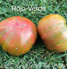 Rojo-Verde ou Bicolore de Jarl