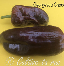 Georgescu chocolate