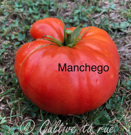 Manchego