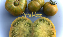 Delta moss