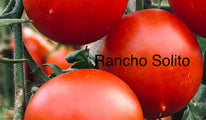 Rancho Solito