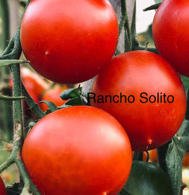 Rancho Solito