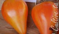 Coeur de boeuf bicolore 426 (1)