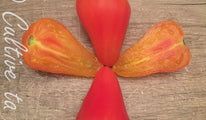 Coeur de boeuf bicolore 426 (2)