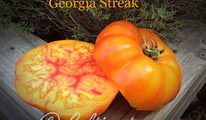 Georgia streak