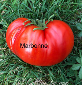 Marbonne