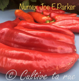 Numex Joe E. Parker