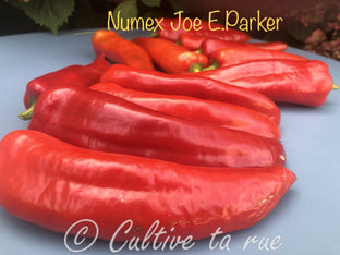 Numex Joe E. Parker