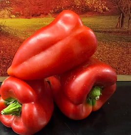 Géant moravska kapija