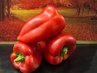 Géant moravska kapija