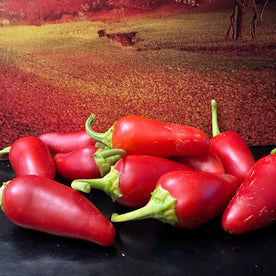 Numex pinata jalapeno