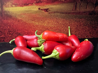 Numex pinata jalapeno