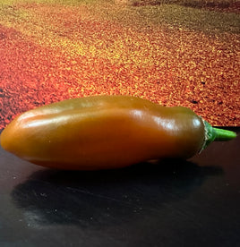 Chernobyl jalapeno