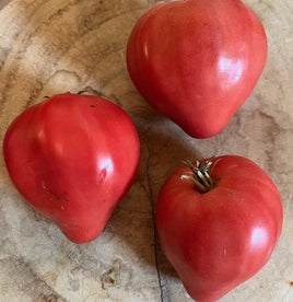 Cuore di Bue Cavallino Treporti