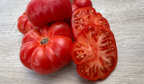 Violaceum crypni rozo