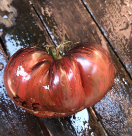 Marsha's Starfighter Beefsteak