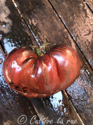 Marsha's Starfighter Beefsteak