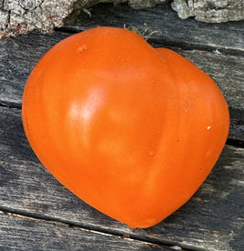 Orange heart passak