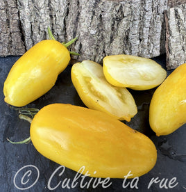 San marzano jaune