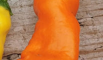 ORANGE PETER PEPPER