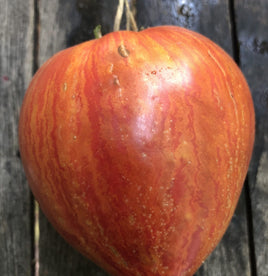 Coeur rose de Pessac Strié