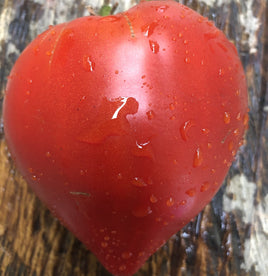 Sheryl's Portuguese red heart