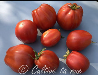 Italian Heirloom