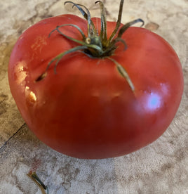 Coeur de Boeuf d'Aregnu