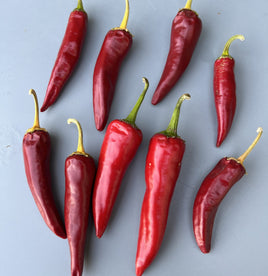 Piment de Cayenne