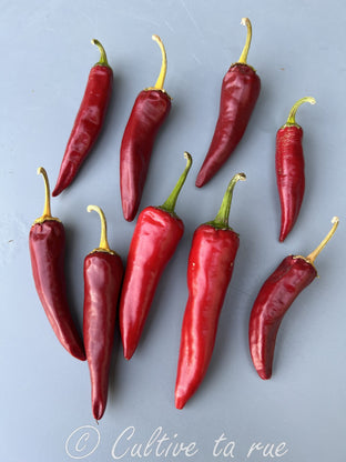 Piment de Cayenne