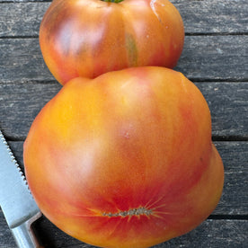 Yantarniy myod altayskogo vereska