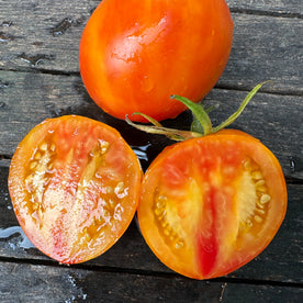 Rizhaja kometa sofii