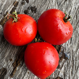 Supermultiflora licious