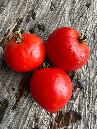 Supermultiflora licious