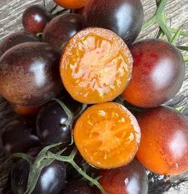 Supertress indigo orange