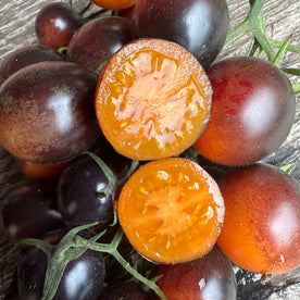 Supertress indigo orange