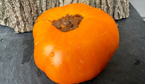 Iskoussitel