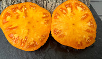 Iskoussitel