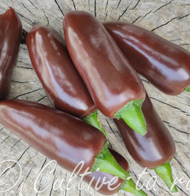 Jalapeno Brown