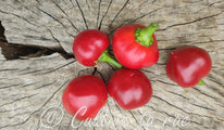 Sweet Cherry (4)