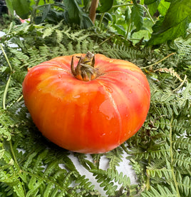 Abrikosovyi konfitur