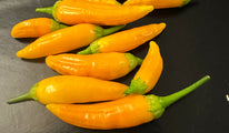 Aji habanero gelb