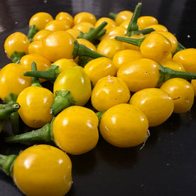 Aji charapita yellow