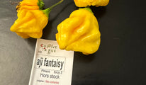 Aji Fantasy