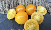 amber colored-2283-23 (5)