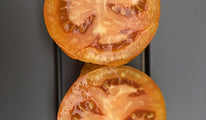 Belarus orange 2